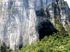 湖北旅游攻略三日游,湖北旅游攻略三日游路线