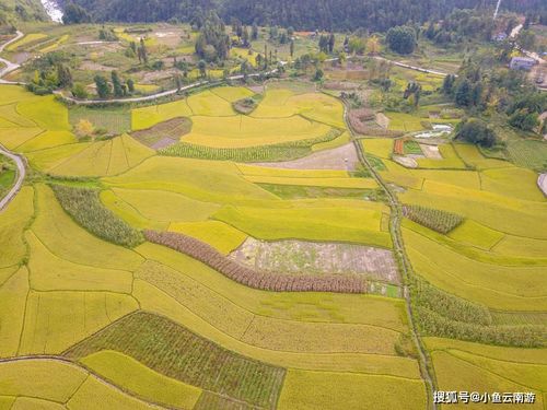 去湖北旅游穿啥,去湖北旅游穿啥衣服合适