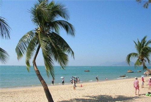 湖北女子去海南旅游,美女去海南 湖北女子去海南旅游,美女去海南