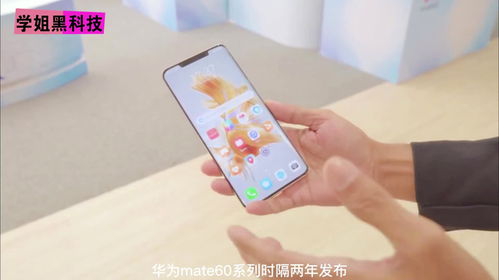 华为mate60库存够吗,华为mate60概念机