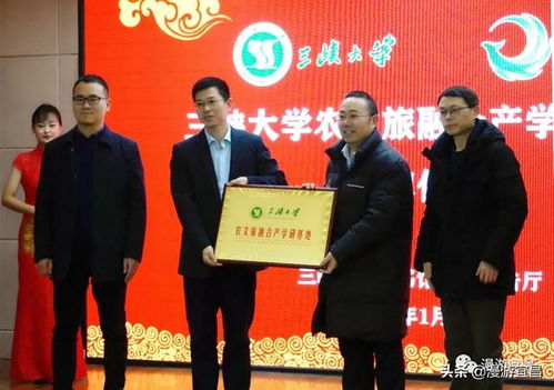 湖北省投资旅游,湖北旅投公司是什么单位