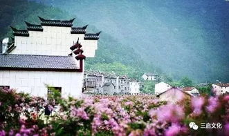 湖北籍人怎么旅游,湖北人游湖北