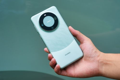 华为mate60系列对比,华为mate60系列对比 图 华为mate60系列对比,华为mate60系列对比 图