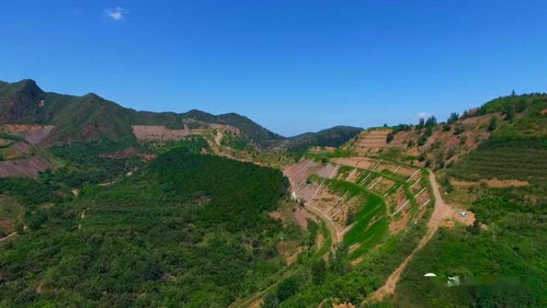 湖北文化旅游机构哪家靠谱,湖北文化旅游开发有限公司