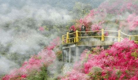 湖北哪里旅游好玩吗,湖北那个旅游景点好玩