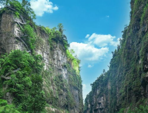 湖北自驾旅游团,湖北自驾旅游团多少钱