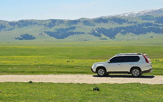 湖北自驾旅游团,湖北自驾旅游团多少钱