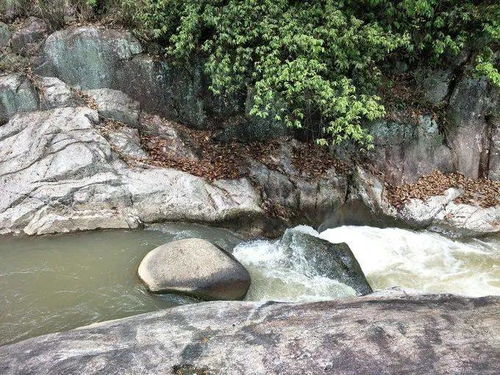 湖北小东江旅游攻略,小东江旅游攻略自驾游