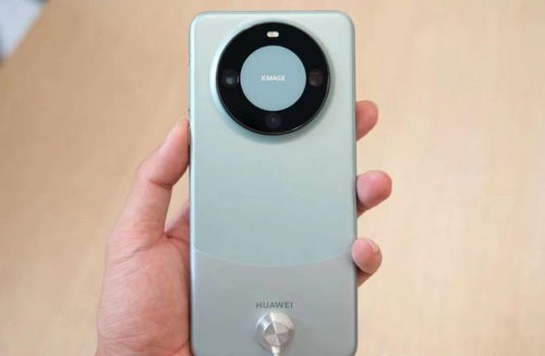 iphone15和华为mate60销量,苹果2019与华为m6