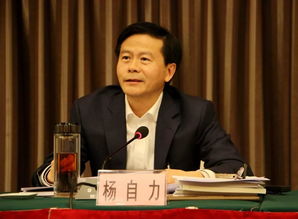 关于湖北旅游委李涛的信息