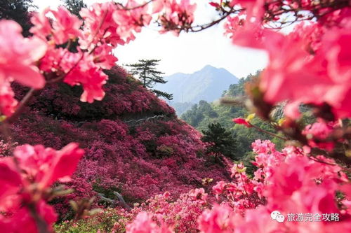 湖北木兰旅游攻略,湖北旅游景点木兰山