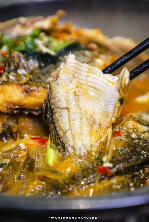 疫情过后湖北美食文案,疫情期间的美食文案