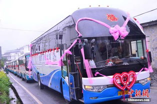 湖北免费旅游大巴,湖北免费旅游大巴有哪些