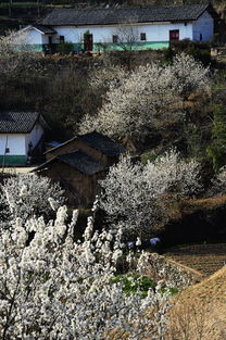 湖北旅游攻略拍照图片,湖北省旅游攻略