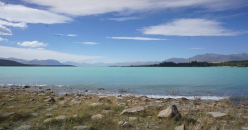 湖北女孩儿青海旅游怎么样,湖北女孩照片