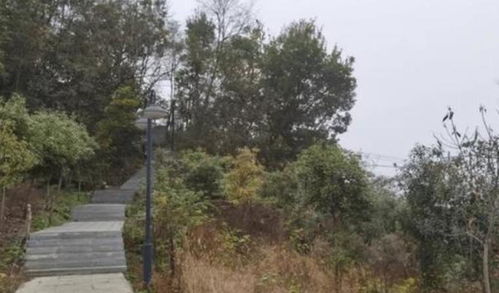 21岁女生湖北爬山旅游,湖北爬山的地方有哪些