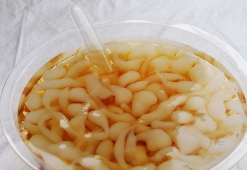 湖北美食十大必吃,湖北本地美食