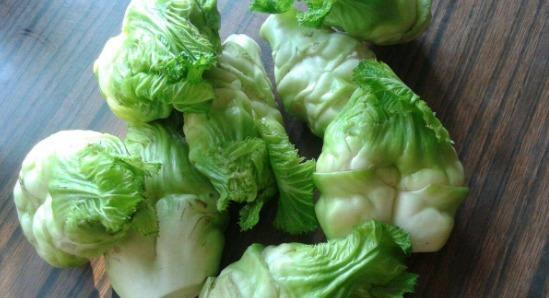 湖北美食排行榜10种,湖北美食排行榜10种菜