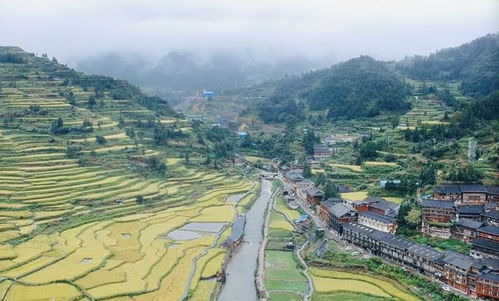 富县到湖北旅游多少钱,从富县自驾游去哪里好玩 富县到湖北旅游多少钱,从富县自驾游去哪里好玩
