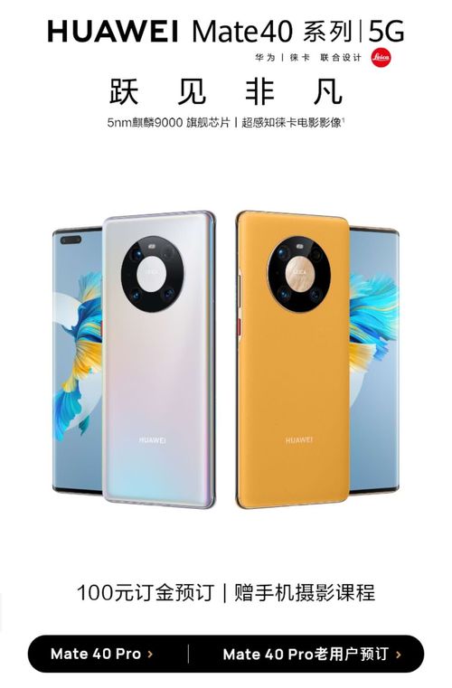 莲花观音手机壳华为mate60的简单介绍