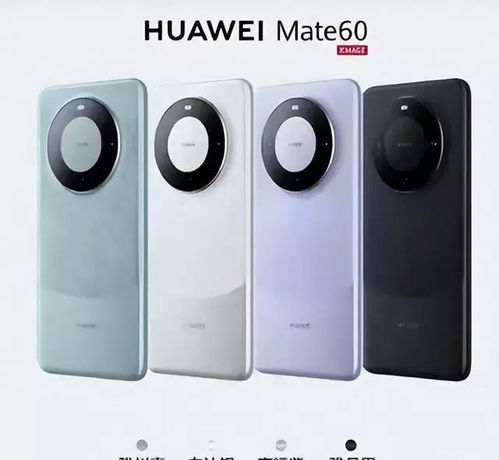 华为mate60国产和海外版区别,华为手机mate60