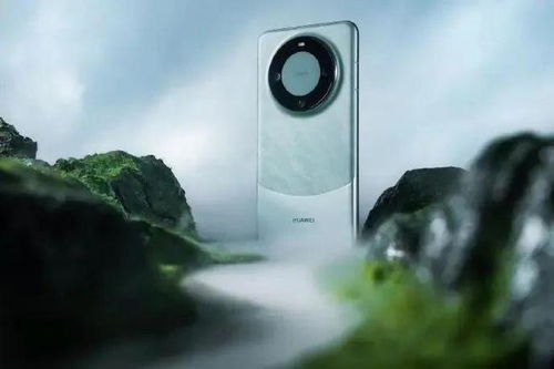 华为mate60单孔有灵动岛嘛,华为mate40pro灵动