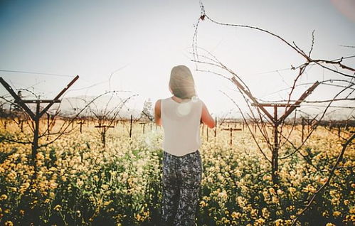 湖北旅游英子,彼一时也,此一时也 湖北旅游英子,彼一时也,此一时也