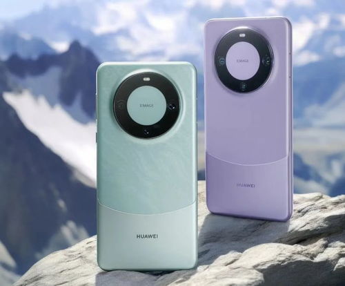 张大头同学华为mate60,抖音张大头