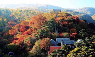 青龙湖北部军事旅游区规划,青龙湖军训基地 条件