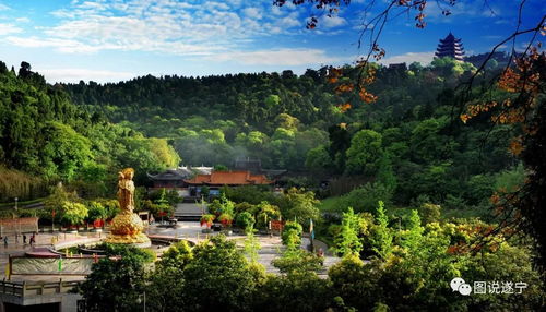 湖北特色旅游商品,湖北有哪些特色旅游资源