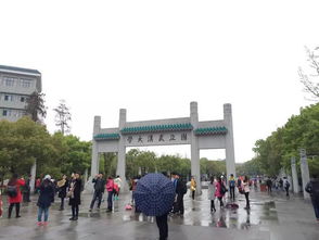 湖北雨荷旅游攻略,武汉雨荷文化传媒有限公司