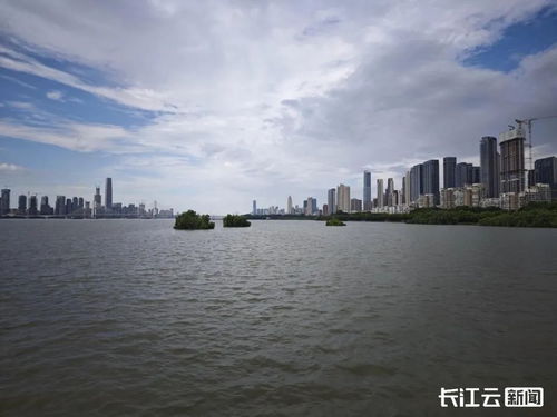 湖北旅游委胡静,湖北省旅游委