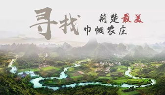 湖北旅游委胡静,湖北省旅游委