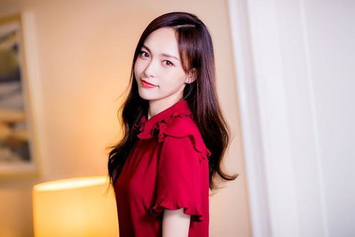 李佳琦的湖北美食的简单介绍