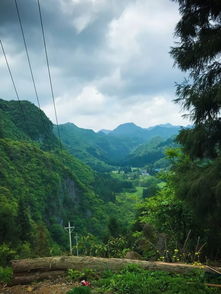 湖北孕妇旅游攻略路线,湖北带娃自驾游