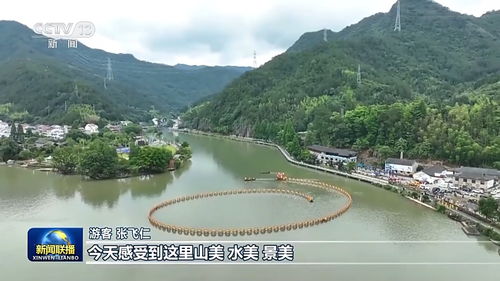 湖北杨帆旅游发展,湖北杨帆旅游发展怎么样