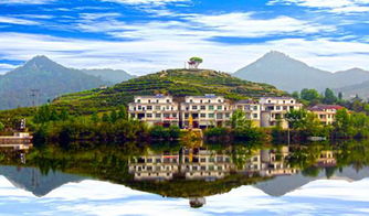 湖北英山旅游公司,湖北英山旅游公司有哪些