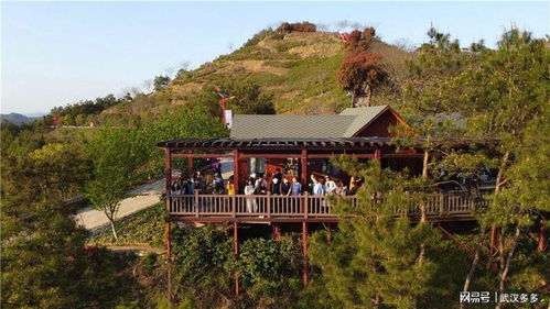 湖北英山旅游公司,湖北英山旅游公司有哪些