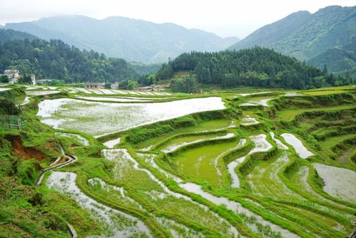 湖北汉江梯田旅游,汉江梯级 湖北汉江梯田旅游,汉江梯级