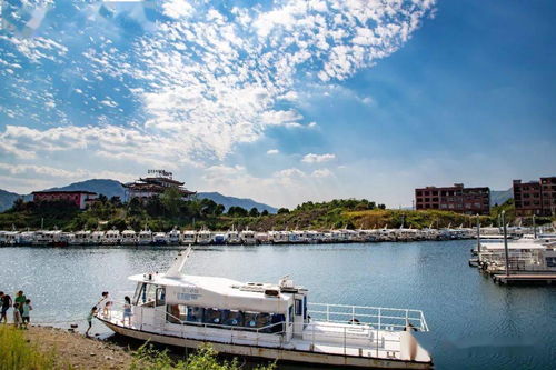 湖北阳新旅游地方,湖北阳新旅游攻略