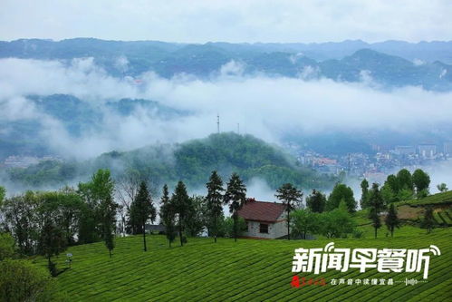 湖北枝江旅游哪里好,枝江旅游景区