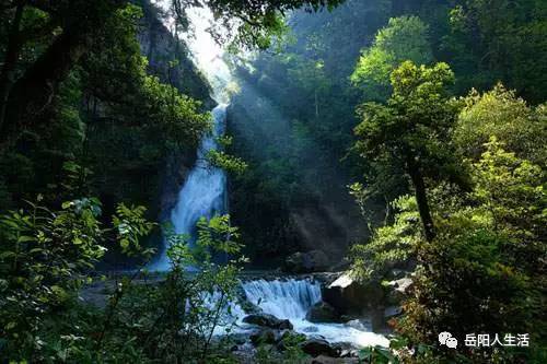 湖北神农旅游节,湖北神农谷国家森林公园