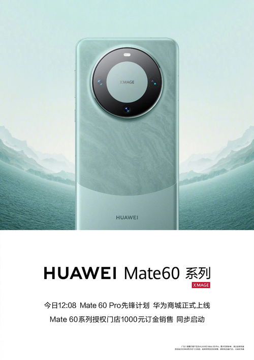 华为mate60手机名称,华为mate30pro手机名称