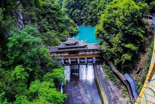 湖北遂州旅游,浙江遂川旅游必去景点