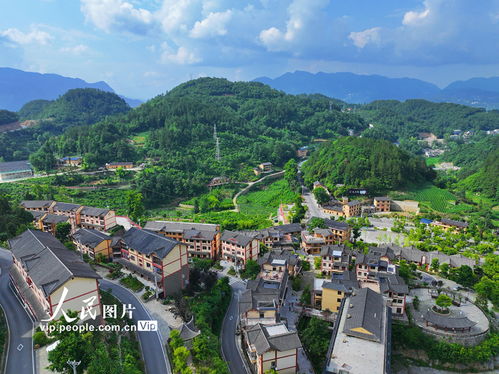 湖北凤山镇旅游经济,凤山县旅游局