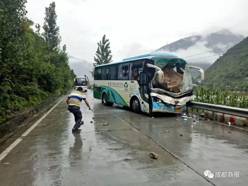 湖北汪桥旅游大巴,湖北汪桥旅游大巴电话