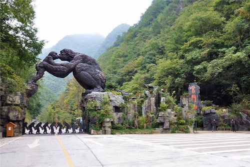 湖北神农架旅游景点大全,湖北神农架旅游景点大全介绍