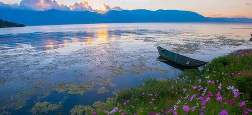 湖北到洱海旅游费用,武汉去洱海坐飞机到哪里比较好