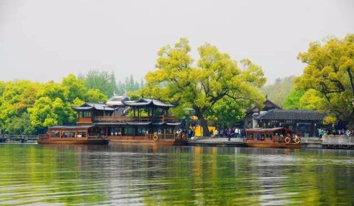 杭州会湖北旅游,来杭州的湖北人出门不用隔离吗