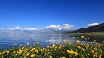 湖北新疆旅游文案,新疆旅游美句